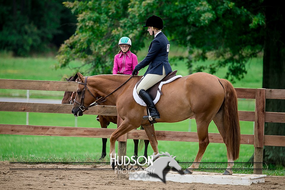 4H-2nd-071517-1946.jpg