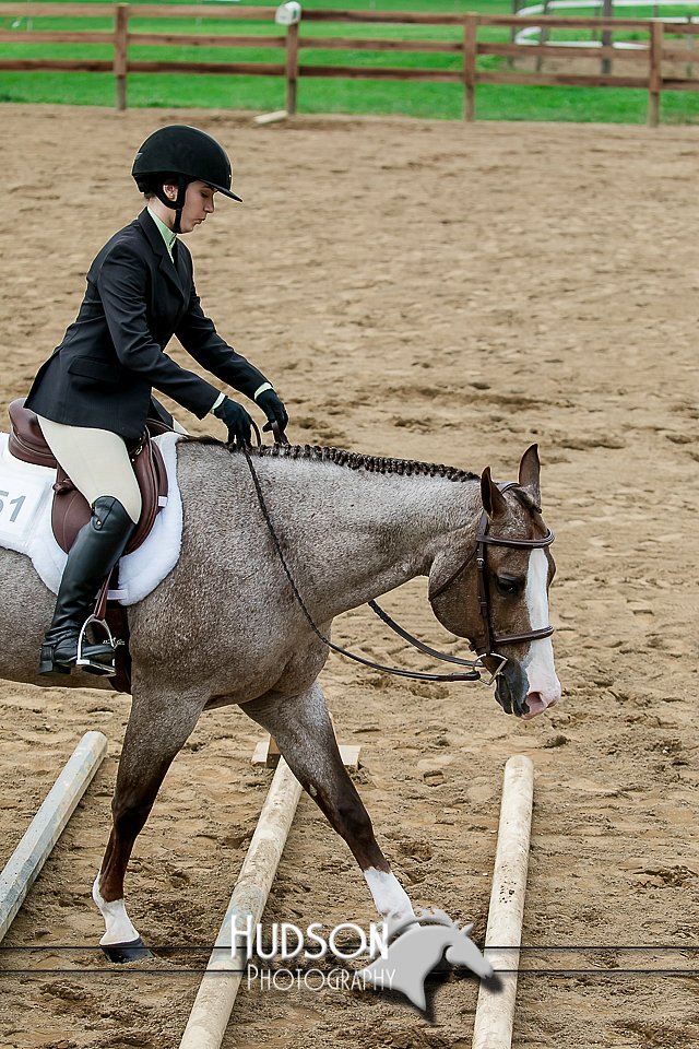 4H-2nd-071517-1956.jpg