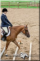 4H-2nd-071517-1938.jpg