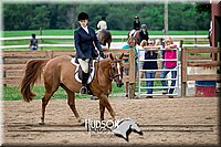 4H-2nd-071517-1942.jpg