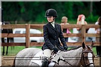 4H-2nd-071517-1949.jpg