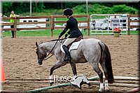 4H-2nd-071517-1952.jpg