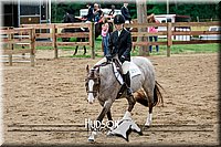 4H-2nd-071517-1953.jpg