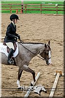 4H-2nd-071517-1955.jpg