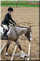 4H-2nd-071517-1956.jpg