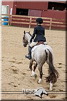 4H-2nd-071517-1958.jpg