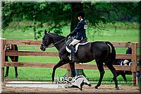 4H-2nd-071517-1978.jpg