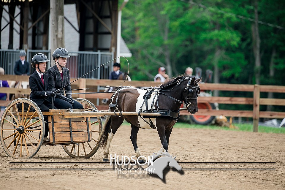 4H-2nd-071517-2036.jpg