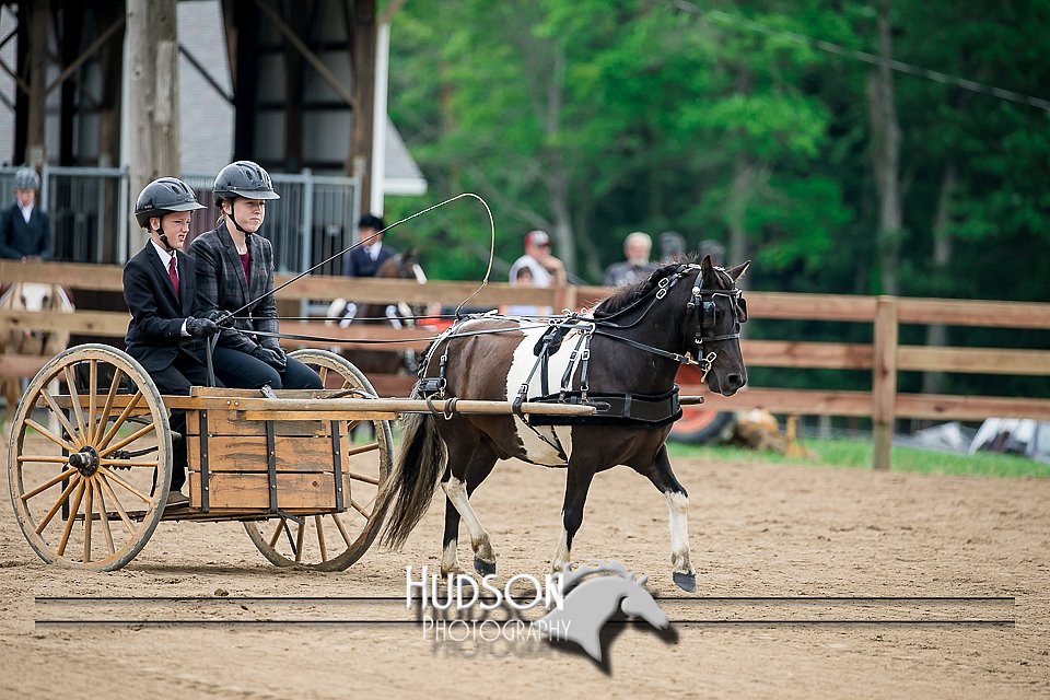 4H-2nd-071517-2037.jpg