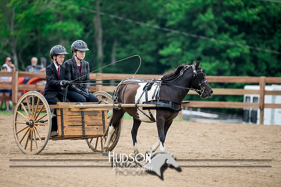 4H-2nd-071517-2038.jpg