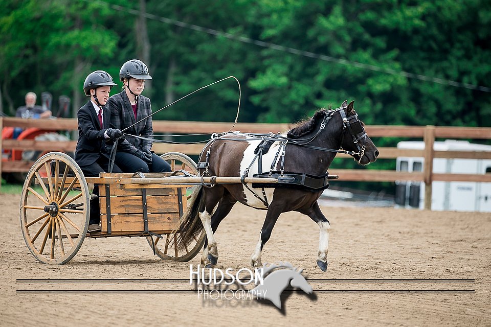 4H-2nd-071517-2039.jpg