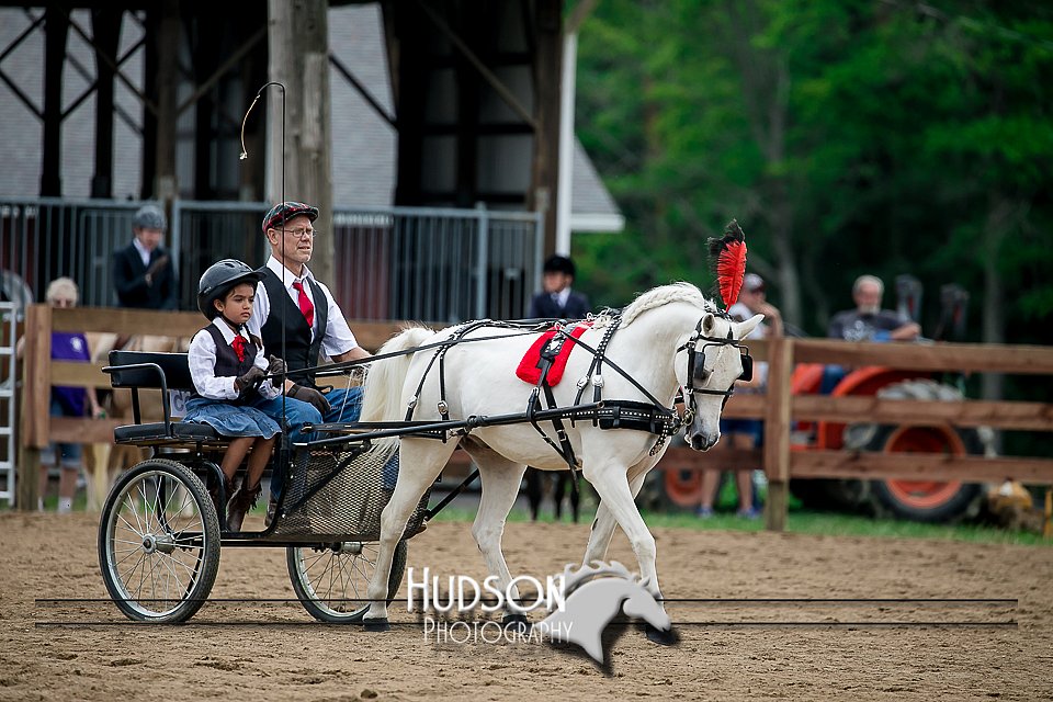 4H-2nd-071517-2040.jpg