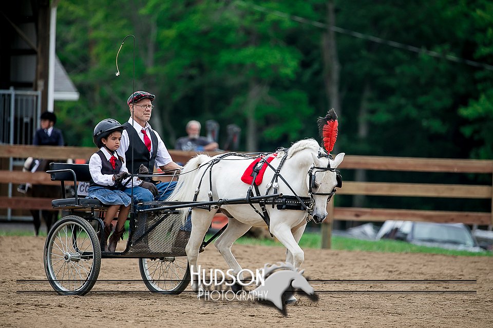 4H-2nd-071517-2042.jpg