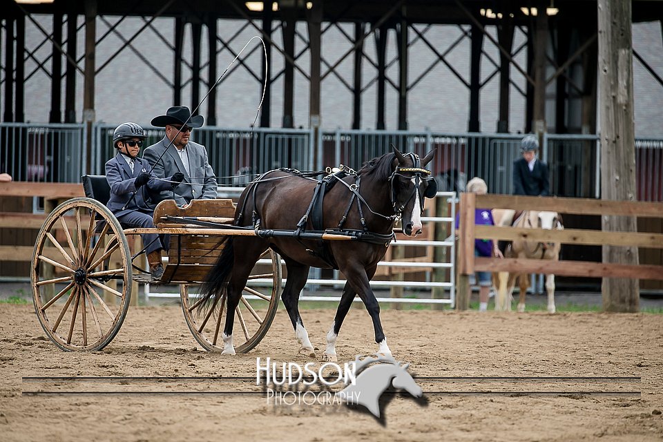 4H-2nd-071517-2053.jpg