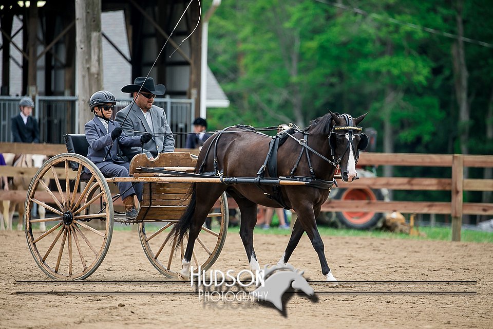 4H-2nd-071517-2054.jpg