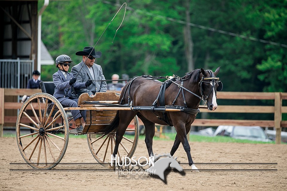 4H-2nd-071517-2055.jpg