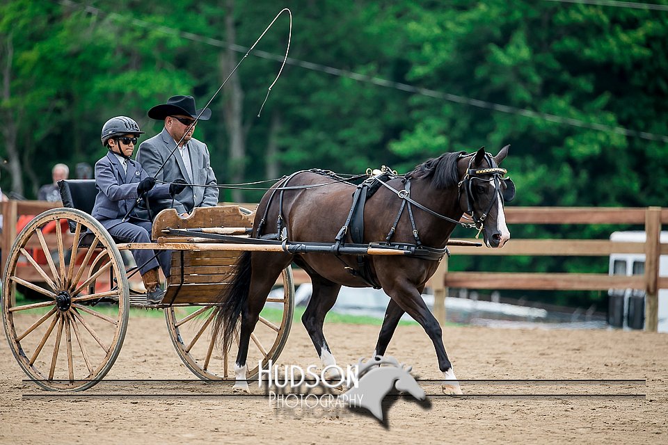 4H-2nd-071517-2056.jpg
