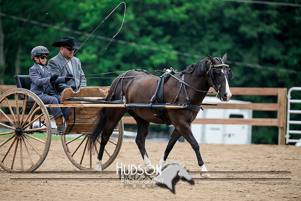 4H-2nd-071517-2057.jpg