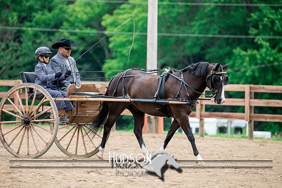 4H-2nd-071517-2059.jpg