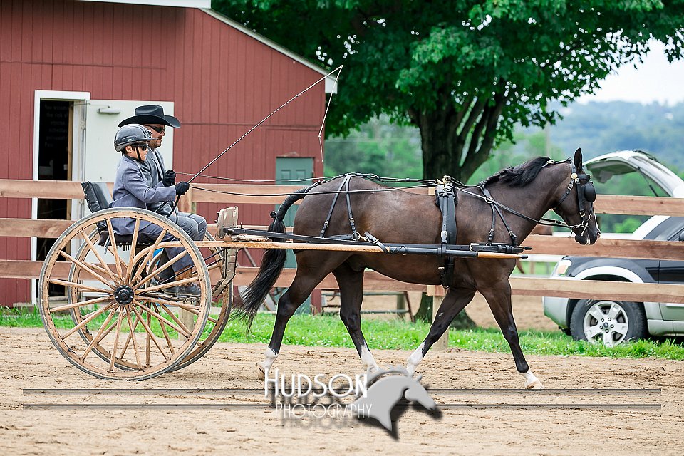 4H-2nd-071517-2061.jpg