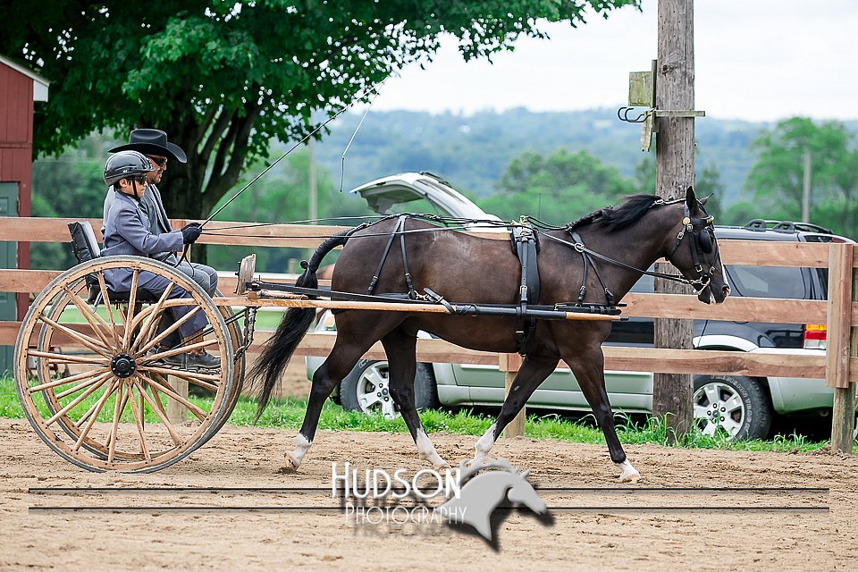 4H-2nd-071517-2062.jpg