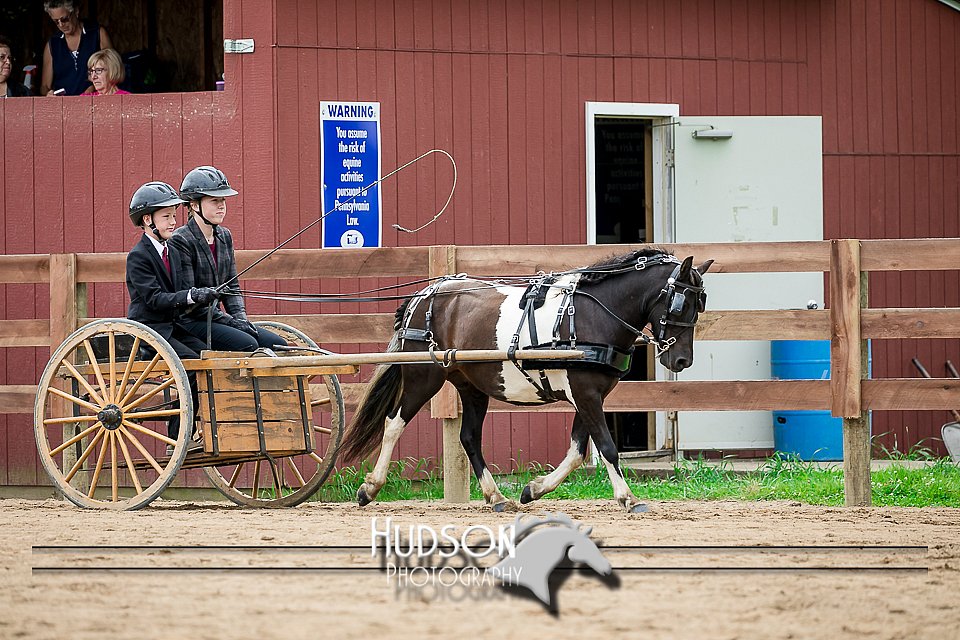 4H-2nd-071517-2064.jpg