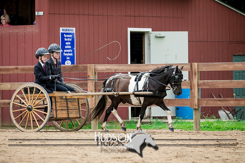 4H-2nd-071517-2065.jpg