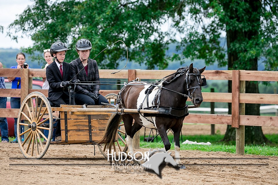 4H-2nd-071517-2066.jpg