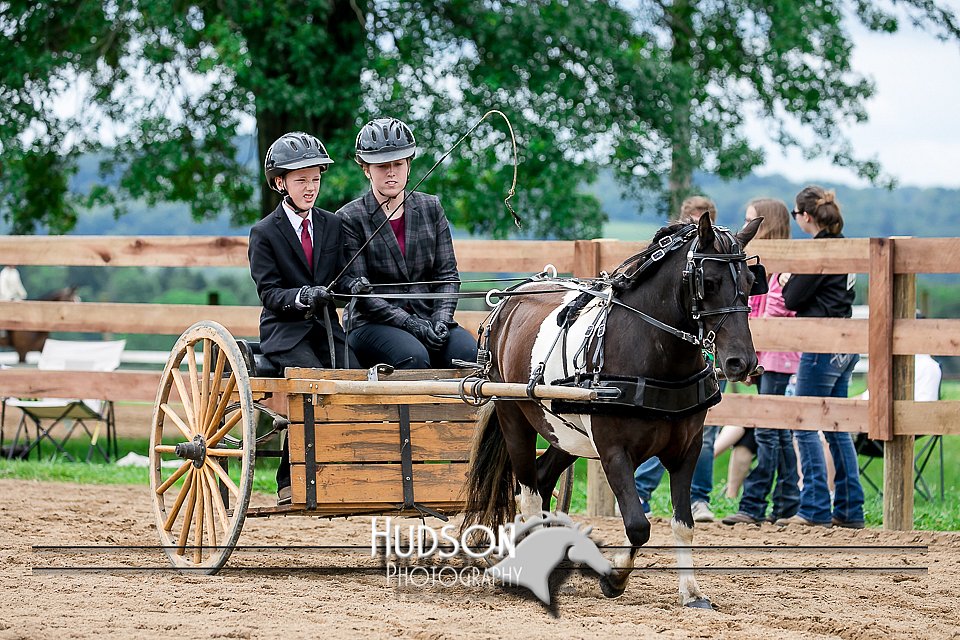 4H-2nd-071517-2069.jpg