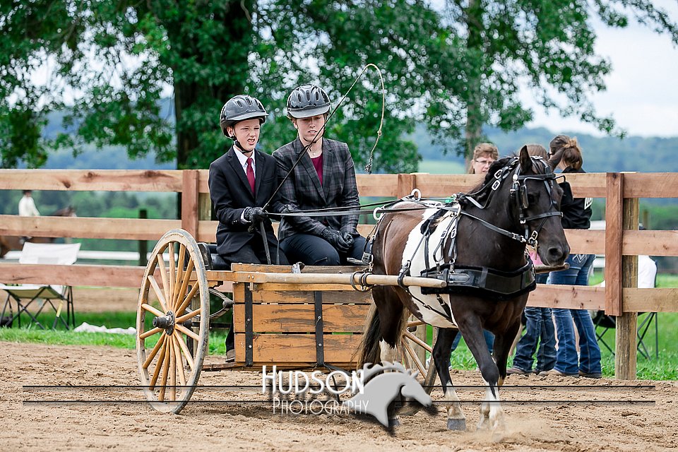 4H-2nd-071517-2070.jpg