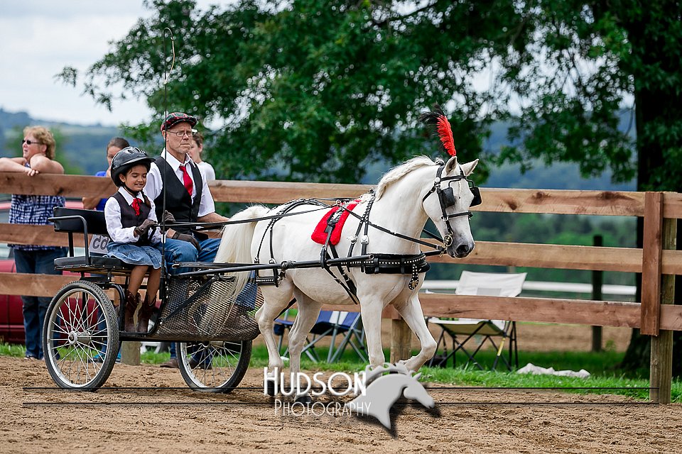 4H-2nd-071517-2073.jpg