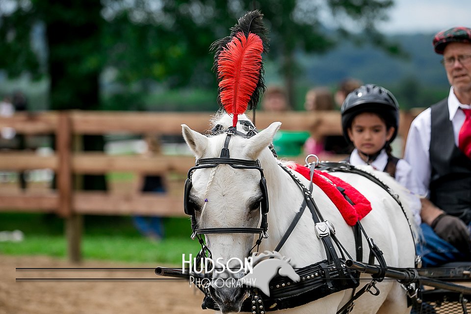 4H-2nd-071517-2077.jpg