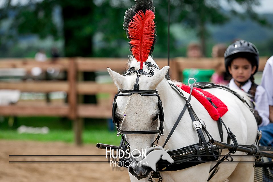 4H-2nd-071517-2078.jpg