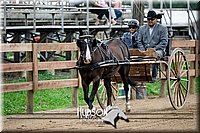 4H-2nd-071517-2028.jpg