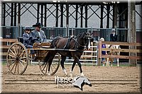 4H-2nd-071517-2053.jpg