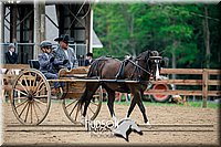4H-2nd-071517-2054.jpg