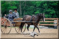 4H-2nd-071517-2056.jpg