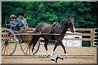 4H-2nd-071517-2057.jpg