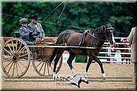 4H-2nd-071517-2058.jpg
