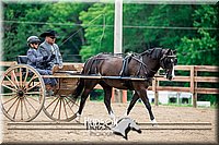 4H-2nd-071517-2059.jpg