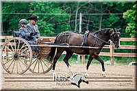 4H-2nd-071517-2060.jpg