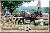 4H-2nd-071517-2062.jpg