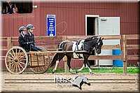 4H-2nd-071517-2064.jpg