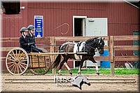 4H-2nd-071517-2065.jpg
