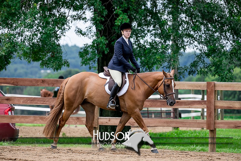 4H-2nd-071517-2120.jpg
