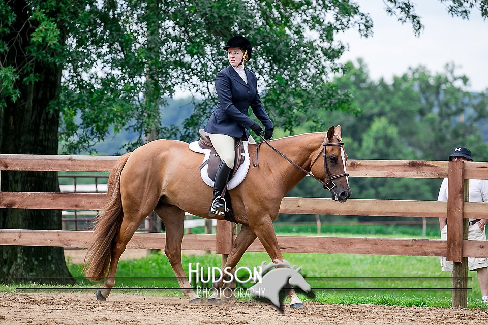 4H-2nd-071517-2121.jpg