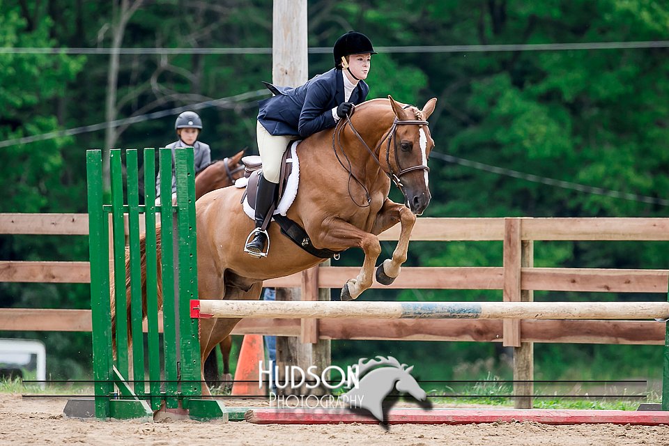 4H-2nd-071517-2123.jpg