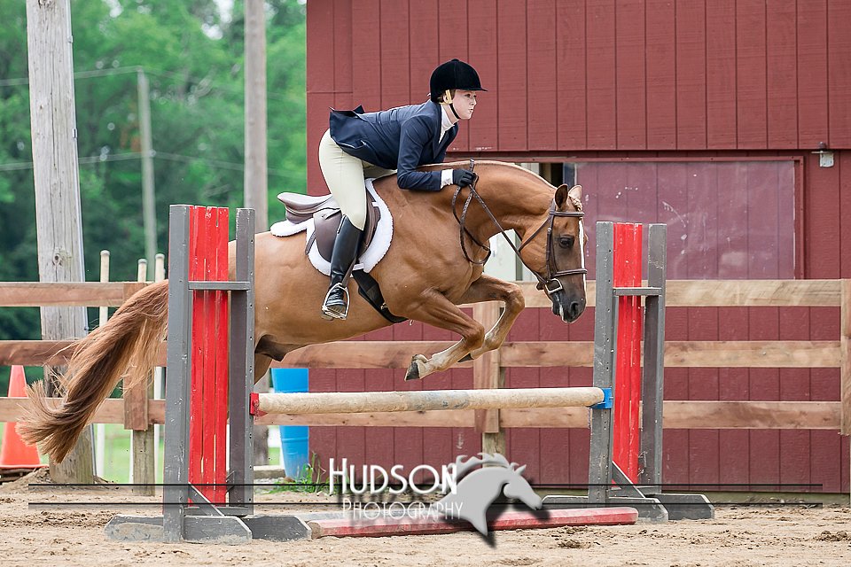 4H-2nd-071517-2124.jpg