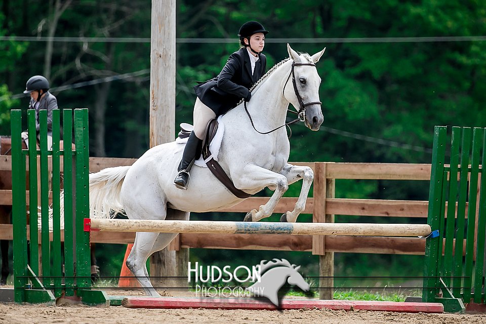 4H-2nd-071517-2133.jpg