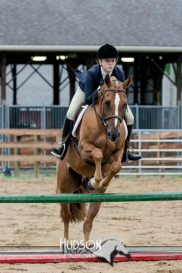 4H-2nd-071517-2187.jpg